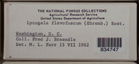 Image Associated With the Occurence